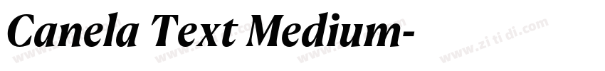Canela Text Medium字体转换
